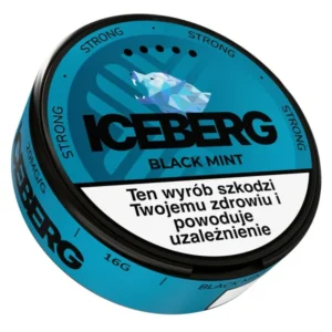 Woreczki nikotynowe Iceberg 20 mg/g – smak Black Mint